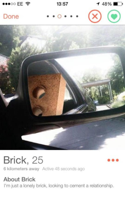 tinder - tinder profile josh - ...00 Ee 1 48% Done ..0... Brick, 25 6 kilometers away Active 48 seconds ago About Brick I'm just a lonely brick, looking to cement a relationship.