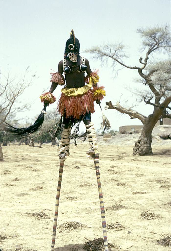 Kanaga stilt masqueraders during the Dama ceremony in Sanga, Mali in 1978.