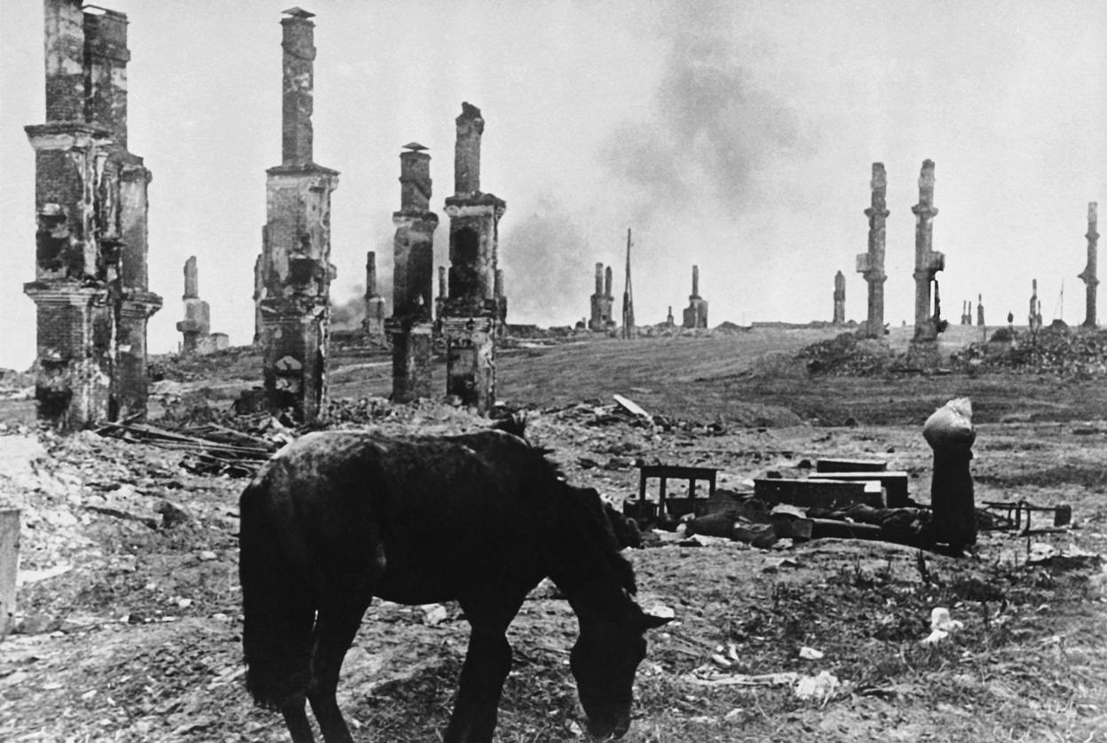 An abandoned horse looks for food in what is left in a heavily destroyed area of Stalingrad, Russia in 1942.