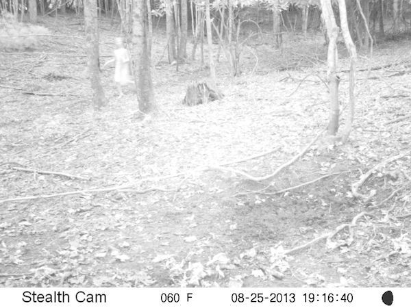 “My friend had his stealth cam set up on a deer trail on his property in NC. This girl popped up on 1 of the frames. Also there is what appears to be a man standing in the top right.”