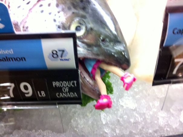 Supermarket - 87 Salmon Product 7 9 18 sem hon Of Canada
