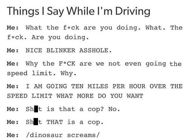 funny quotes with swearing - Things I Say While I'm Driving Me What the fck are you doing. What. The fck. Are you doing. Me Nice Blinker Asshole. Me Why the FCk are we not even going the speed limit. Why. Me I Am Going Ten Miles Per Hour Over The Speed Li