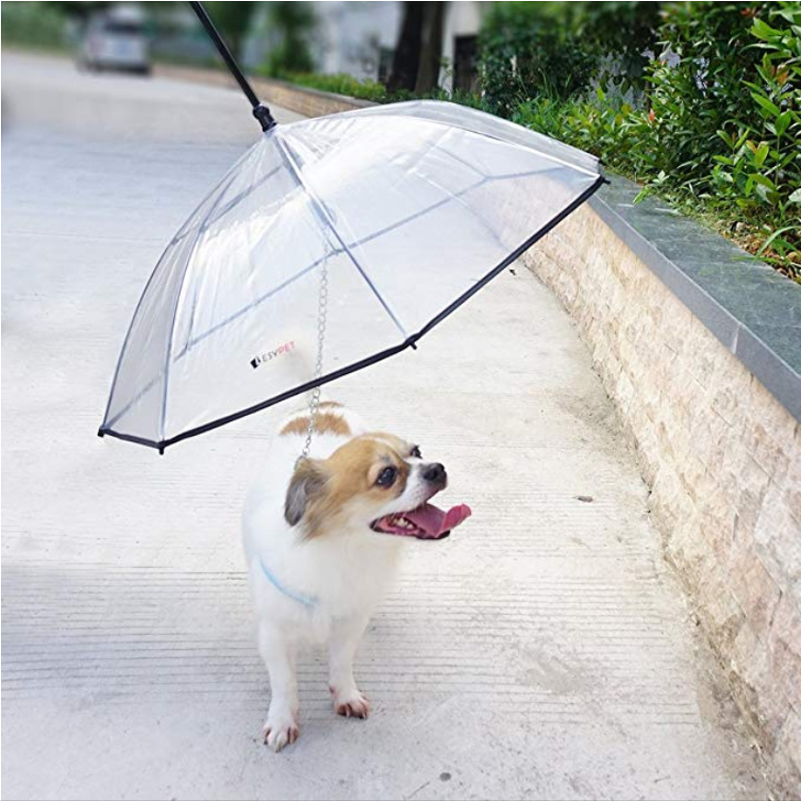 A leash with a built-in umbrella so that your dog doesn’t get wet