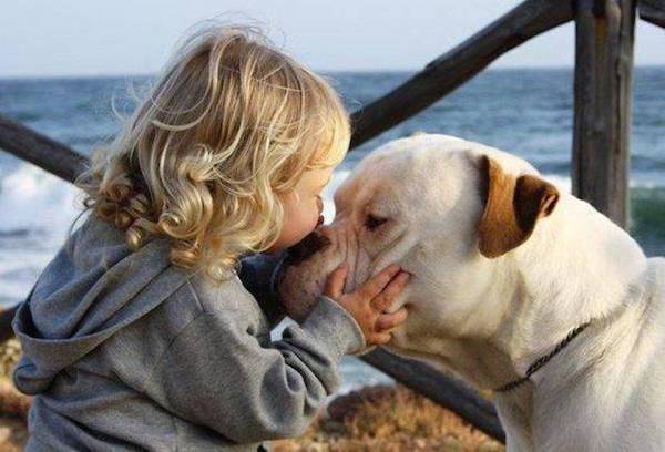 random pic american bulldog and kids