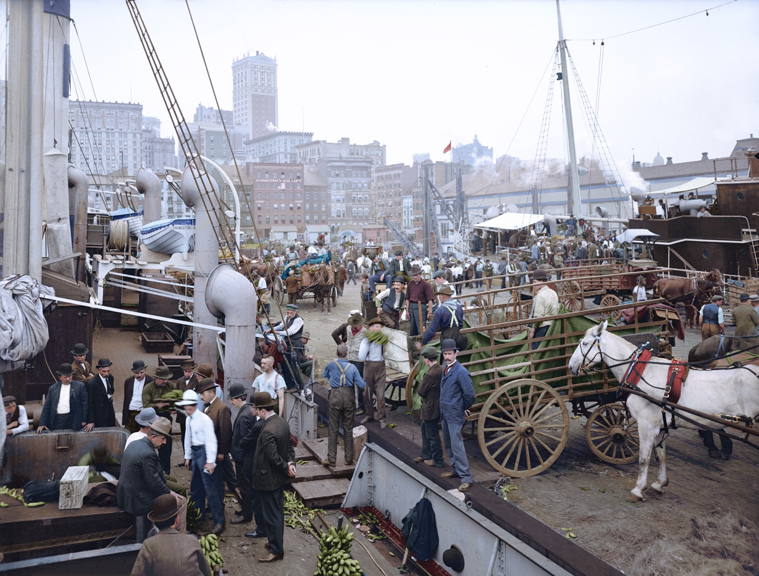 Banana Docks, New York. Ca 1890 – 1910.