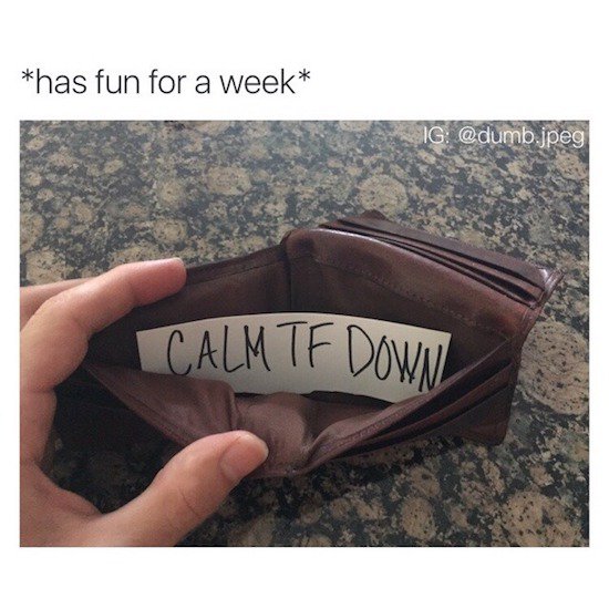 wallet says no memes - has fun for a week Ig .jpeg Calm Tf Down