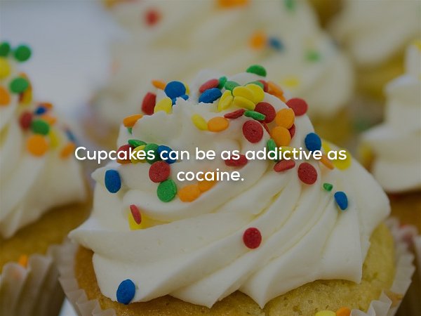 frugal crafter birthday cupcake - Cupcakes can be as addictive as cocaine.