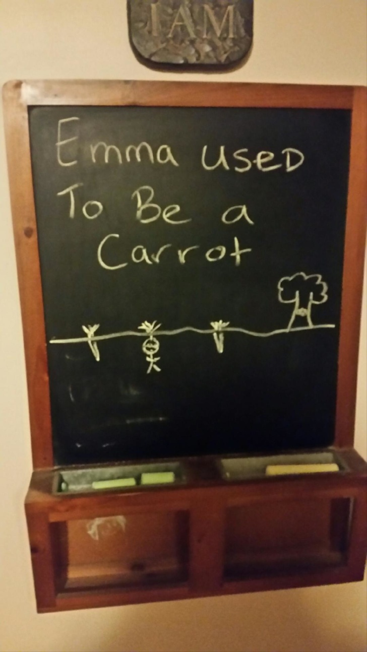 drawings of a brother and sister - Emma Used To be a Carrot