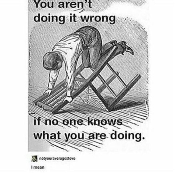 no one can tell you you re doing it wrong if they don t know what you re doing - You aren't doing it wrong if no one knows what you are doing. notyouraveragesteve I mean