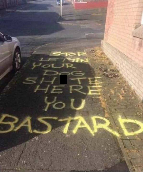 asphalt - Ser You Bastard