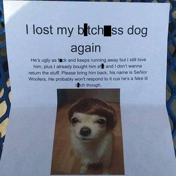lost bitch ass dog - I lost my blitch ss dog again He's ugly as fuck and keeps running away but I still love him, plus I already bought him sh and I don't wanna return the stuff. Please bring him back, his name is Senior Woofers. He probably won't respond