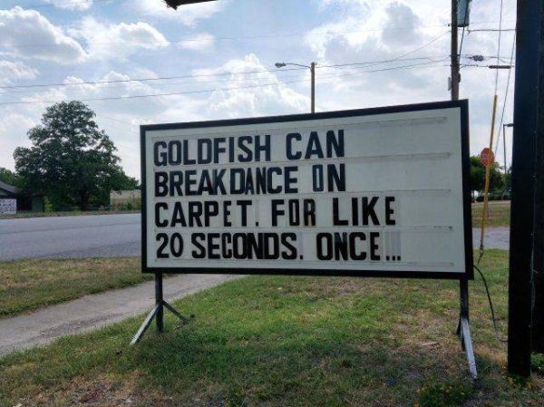 sign - Goldfish Can Break Dance On Carpet. For 20 Seconds. Once...