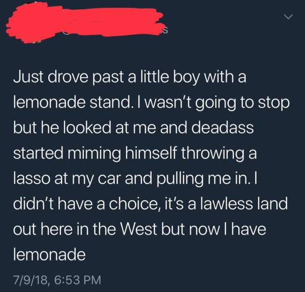 atmosphere - Just drove past a little boy with a lemonade stand. I wasn't going to stop but he looked at me and deadass started miming himself throwing a lasso at my car and pulling me in. I didn't have a choice, it's a lawless land out here in the West b