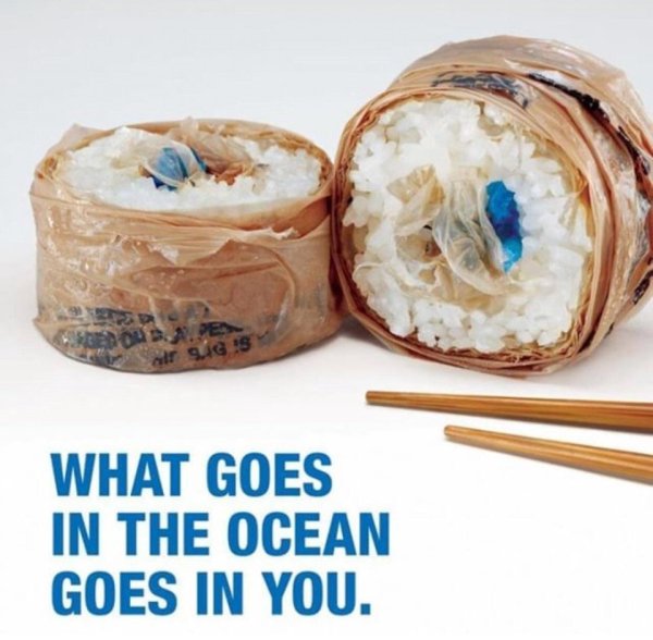 cool design surfrider foundation sushi ad - What Goes In The Ocean Goes In You.