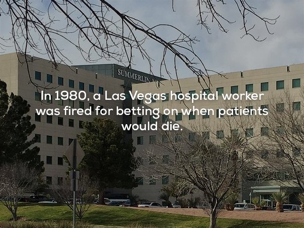 architecture - Summerlindri In 1980, a Las Vegas hospital worker was fired for betting on when patients would die.