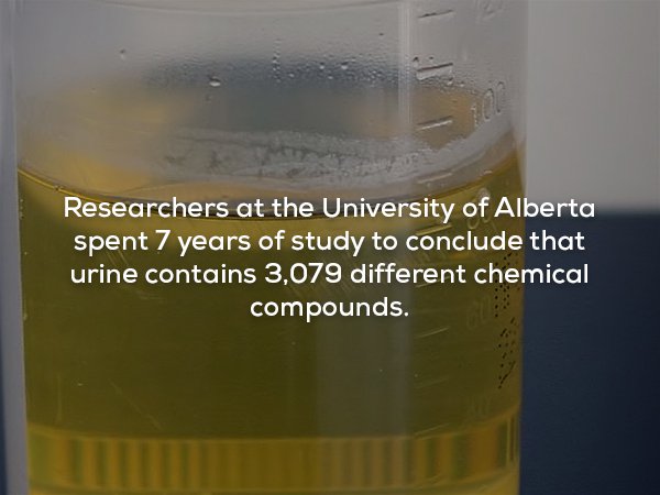 liquid - Researchers at the University of Alberta spent 7 years of study to conclude that urine contains 3,079 different chemical compounds.