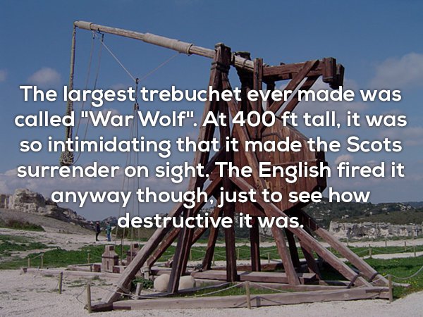 medieval trebuchet - The largest trebuchet ever made was called "War Wolf". At 400 ft tall, it was so intimidating that it made the Scots surrender on sight. The English fired it anyway though, just to see how destructive it was.