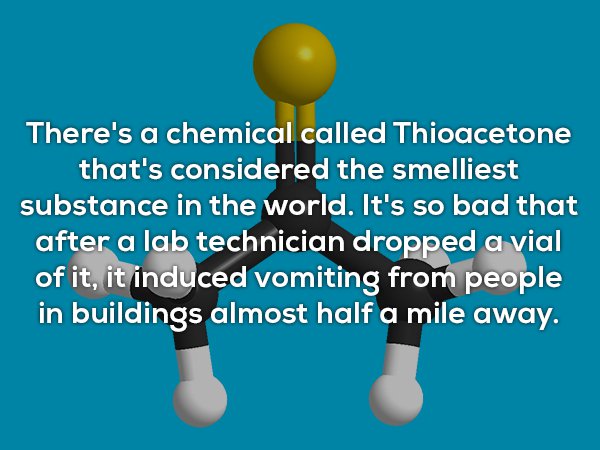 human behavior - There's a chemical called Thioacetone that's considered the smelliest substance in the world. It's so bad that after a lab technician dropped a vial of it, it induced vomiting from people in buildings almost half a mile away.