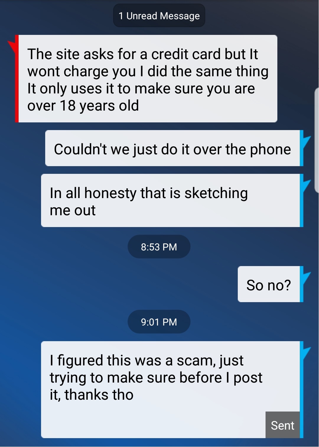 Guy encounters his first online scammer