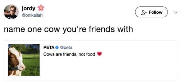 funny tweets from women - jordy 8 name one cow you're friends with Peta Cows are friends, not food