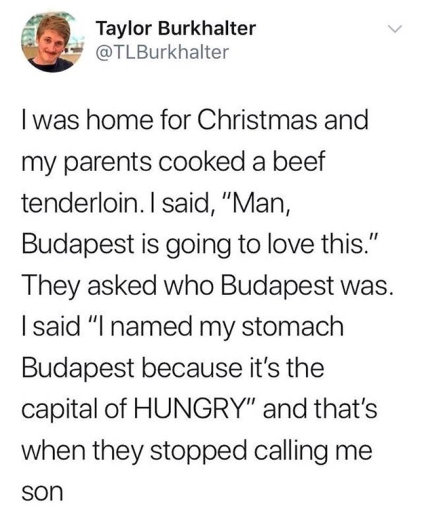 smart hungary pun - Taylor Burkhalter I was home for Christmas and my parents cooked a beef tenderloin. I said, "Man, Budapest is going to love this." They asked who Budapest was. I said "I named my stomach Budapest because it's the capital of Hungry" and