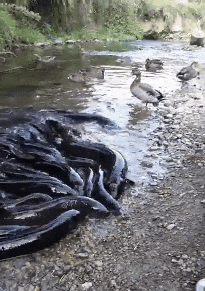 50 times nature was just too scary