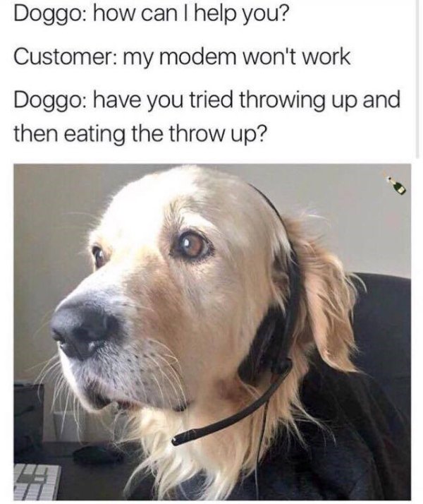 dog customer service - Doggo how can I help you? Customer my modem won't work Doggo have you tried throwing up and then eating the throw up?