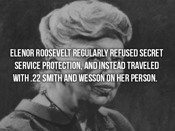 wtf facts - portraits of eleanor roosevelt - Elenor Roosevelt Regularly Refused Secret Service Protection, And Instead Traveled With.22 Smith And Wesson On Her Person.