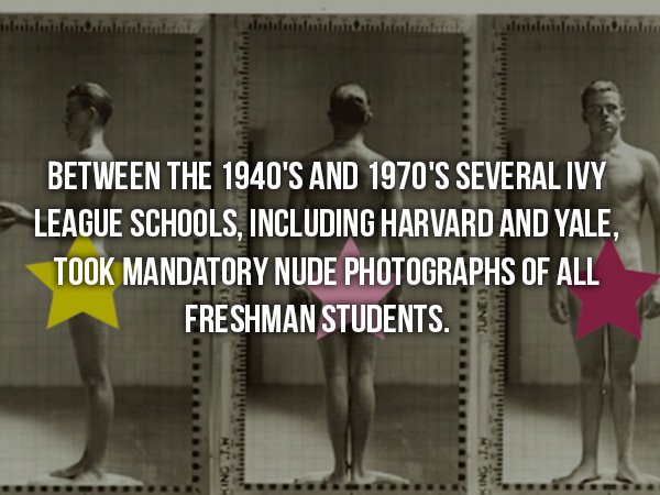 wtf facts - human behavior - Between The 1940'S And 1970'S Several Ivy League Schools, Including Harvard And Yale, Took Mandatory Nude Photographs Of All Freshman Students.