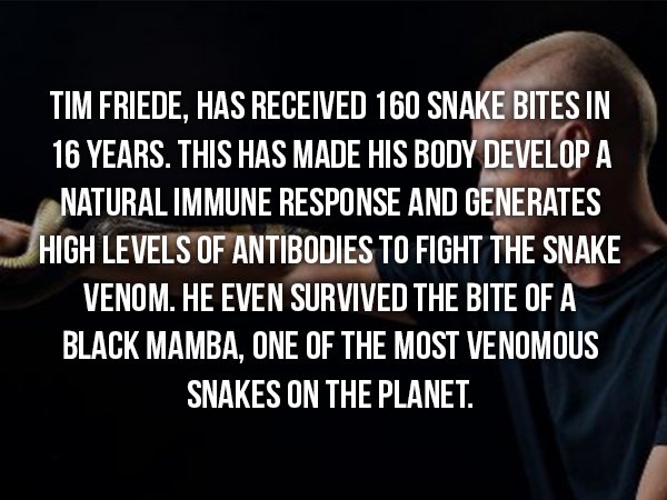 wtf facts - wtf facts - Tim Friede, Has Received 160 Snake Bites In 16 Years. This Has Made His Body Develop A Natural Immune Response And Generates High Levels Of Antibodies To Fight The Snake Venom. He Even Survived The Bite Of A Black Mamba, One Of The