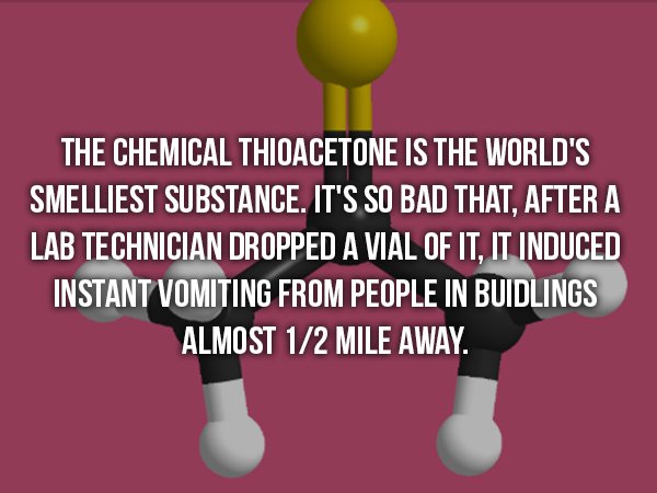 wtf facts - sorry i love you quotes - The Chemical Thioacetone Is The World'S Smelliest Substance. It'S So Bad That. After A Lab Technician Dropped A Vial Of It, It Induced Instant Vomiting From People In Buidlings Almost 12 Mile Away.