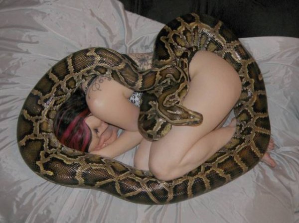 cursed image - snake sizing up woman in bed facebook