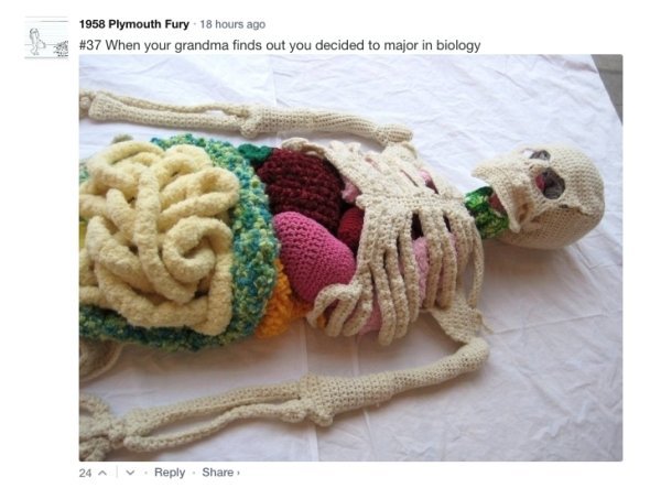 cute knitted things - 1958 Plymouth Fury 18 hours ago When your grandma finds out you decided to major in biology 24