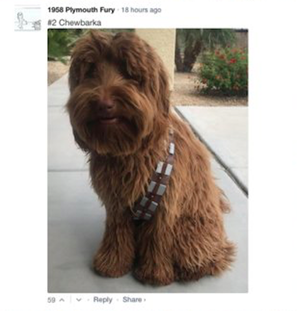 chewbacca dog - 18 hours ago 1958 Plymouth Fury 12 Chewbarka 59