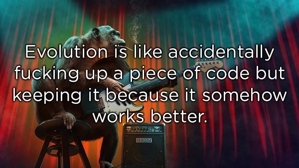 music - Evolution is accidentally fucking up a piece of code but keeping it because it somehow works better. Esider