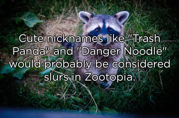 Cute nicknames "Trash Panda" and "Danger Noodle" would probably be considered slurs in Zootopia.