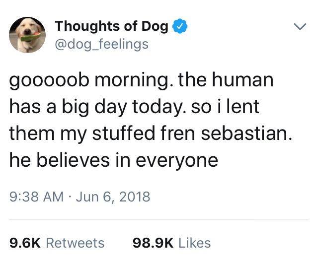 milo yiannopoulos feminism quotes - Thoughts of Dog gooooob morning. the human has a big day today. so i lent them my stuffed fren sebastian. he believes in everyone