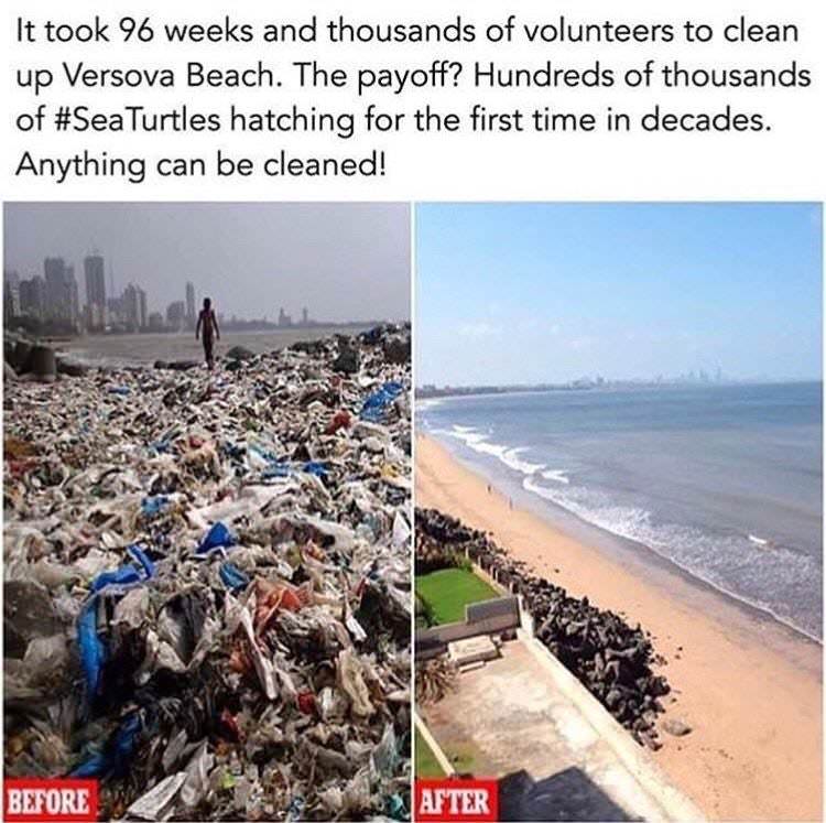 mumbai beach clean up - It took 96 weeks and thousands of volunteers to clean up Versova Beach. The payoff? Hundreds of thousands of Turtles hatching for the first time in decades. Anything can be cleaned! Before After