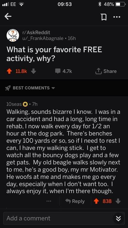 screenshot - Ee. 48% rAskReddit u_FrankAbagnale 16h What is your favorite Free activity, why? 1 Best 10 seas .7h Walking, sounds bizarre I know. I was in a car accident and had a long, long time in rehab, I now walk every day for 12 an hour at the dog par