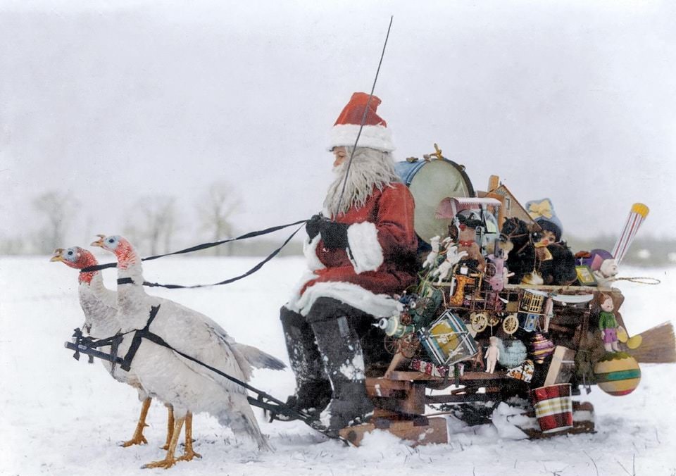 Santa Claus with Christmas toys on a sled drawn by white turkeys, 1909.