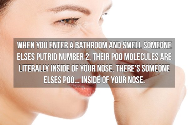 lip - When You Enter A Bathroom And Smell Someone Elses Putrid Number 2, Their Poo Molecules Are Literally Inside Of Your Nose. There'S Someone Elses Poo... Inside Of Your Nose.