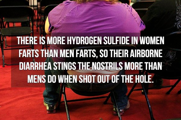 photo caption - There Is More Hydrogen Sulfide In Women Farts Than Men Farts, So Their Airborne Diarrhea Stings The Nostrils More Than Mens Do When Shot Out Of The Hole.