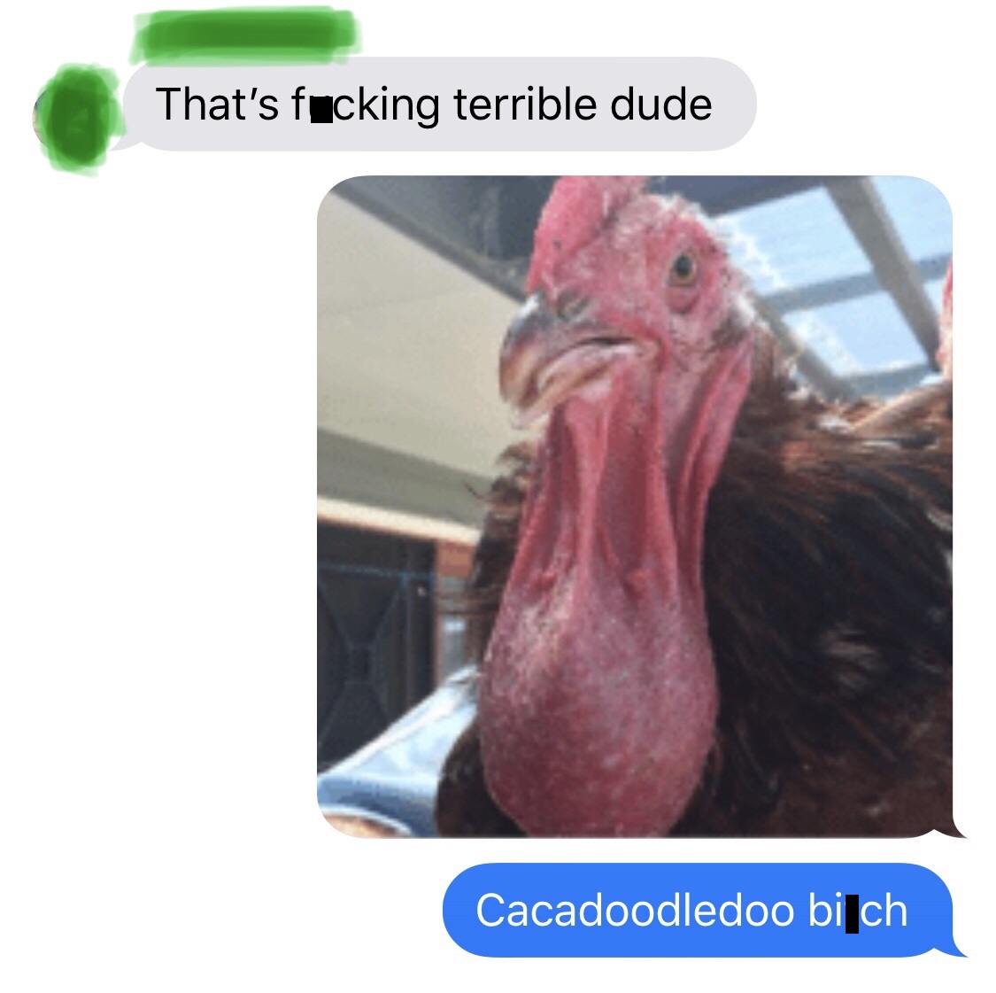 your balls are bigger than your pecker meme - That's fucking terrible dude Cacadoodledoo bi ch