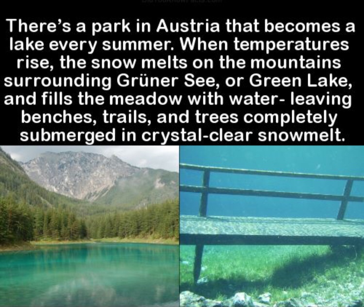 16 neat facts from the internet