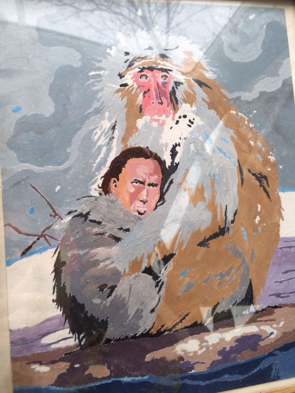 nicolas cage monkey painting