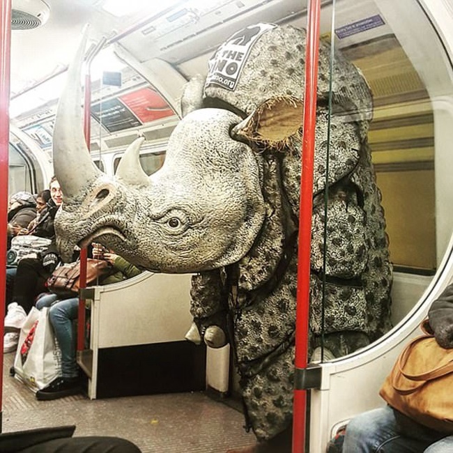 21 surprising things found on the subway