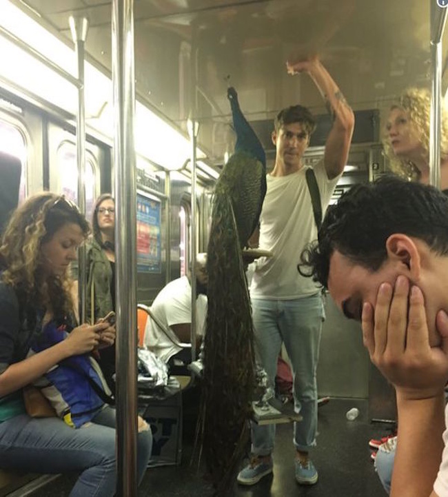 21 surprising things found on the subway