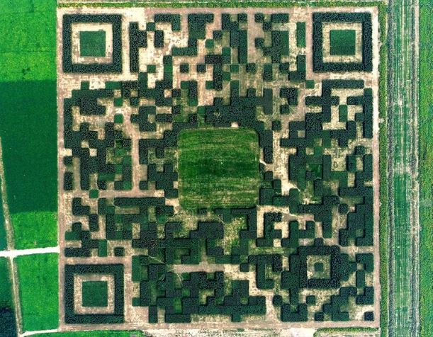 QR made of trees