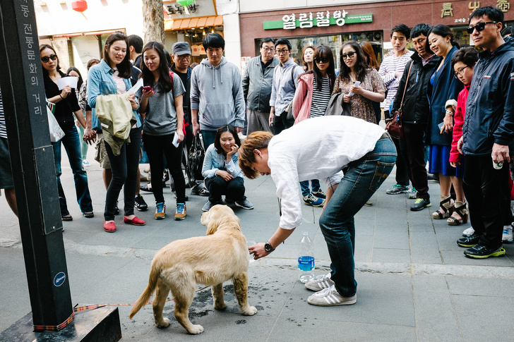 “Big dogs aren’t common in Korea.