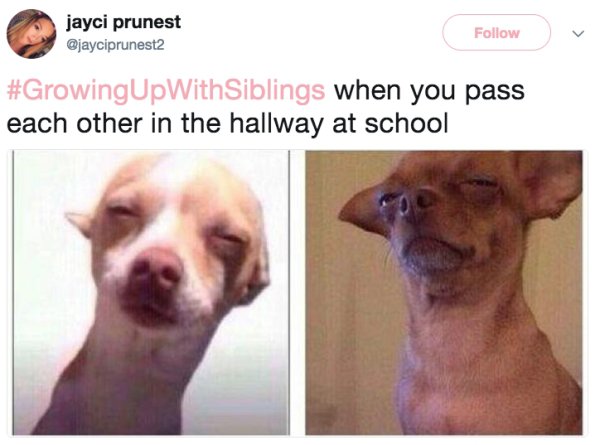 29 tweets you can relate to if you had a sibling